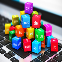 دامنه های شرکت وزین پرواز